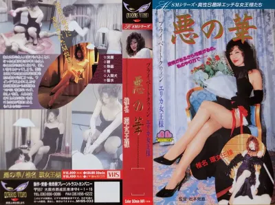 椎名環