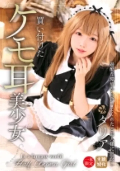 買い付けたケモ耳美少女