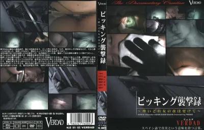 ピッキング襲撃録 ～酔いどれ女の夜は更けて～
