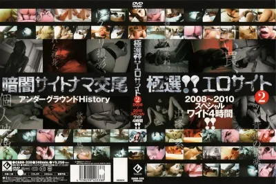 極選！！エロサイト 2 2008～2010スペシャルワイド4時間！！
