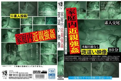 家庭内近親強● 夜●い映像
