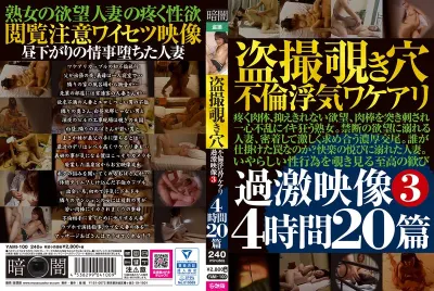 盗撮覗き穴不倫浮気ワケアリ過激映像 3 4時間20篇